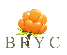 bryc logo PNG.png