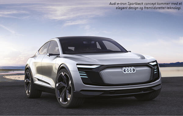header Moller Audi