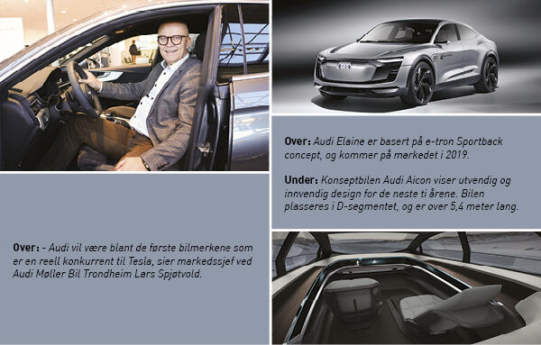 header Moller Audi2