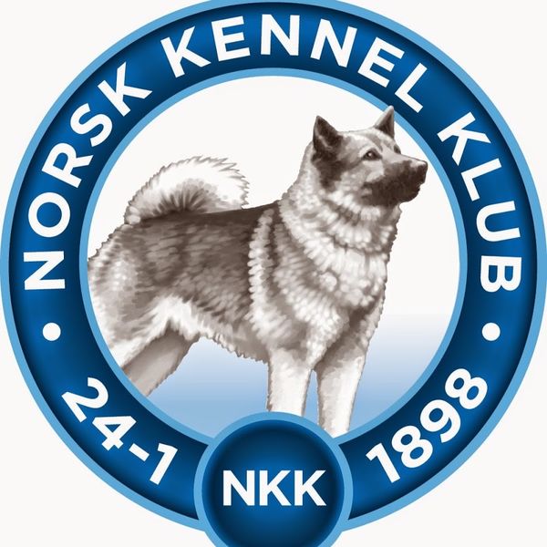 NKK