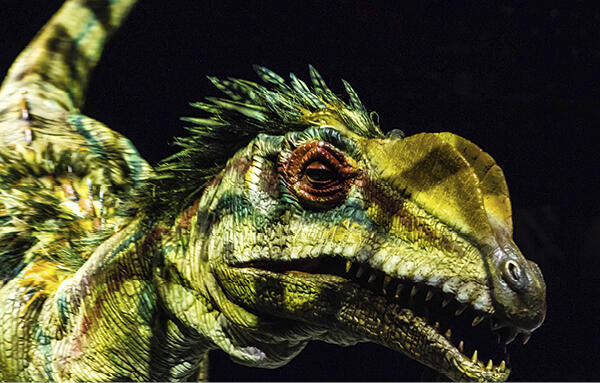 header Dinosaurs