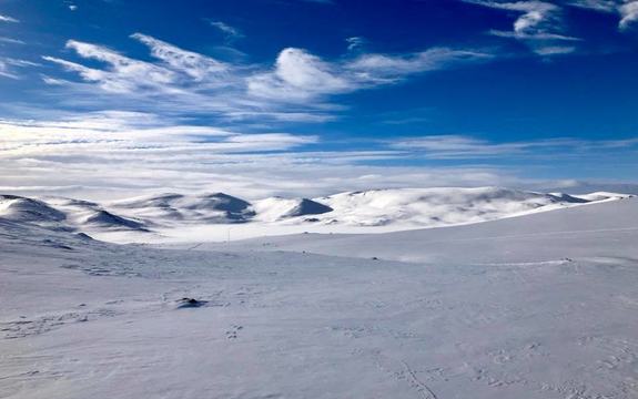Snøskred