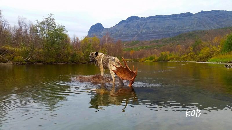 Foto: Karl Odin Bruvold