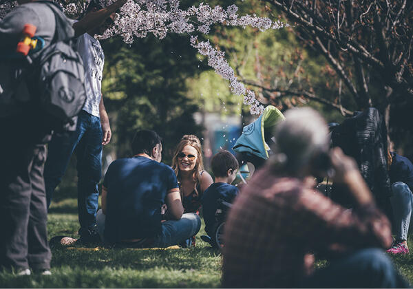 header parksommer