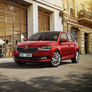 ingress skoda