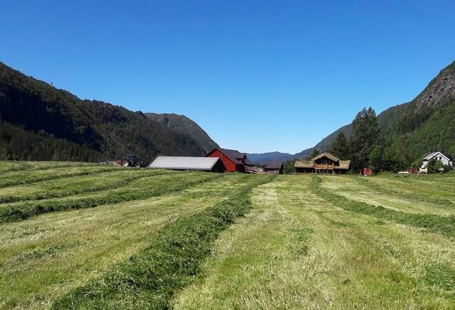 åker fjell gardar