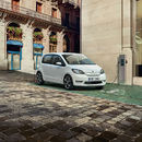 ingress skoda