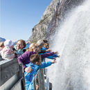 ingress Fjordcruise