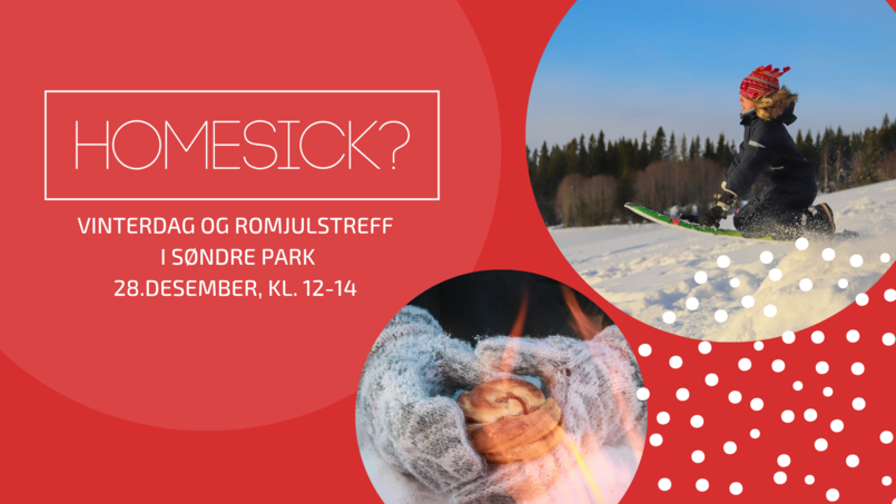 Homesick Vinterdag