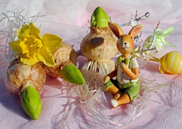easter-bunny-3154074_1920