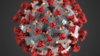 2871--cdc-alissa-eckert-ms_modifisert