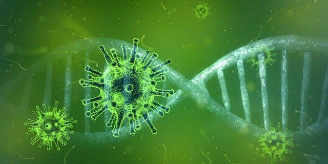 Koronavirus (Pixabay.com Pete Linforth) Koronavirus (Pixabay.com Pete Linforth)