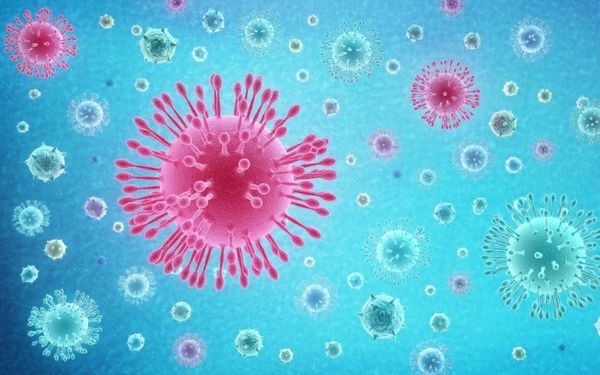 coronavirus