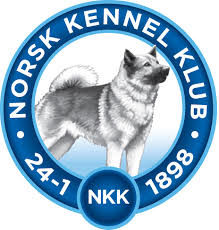 NKK logo _ rund