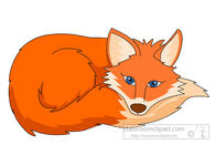 red fox curled up resting clipart