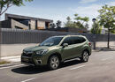 ingress okkenhaug subaru