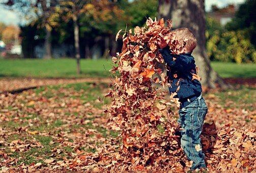 Gutt leker med blader