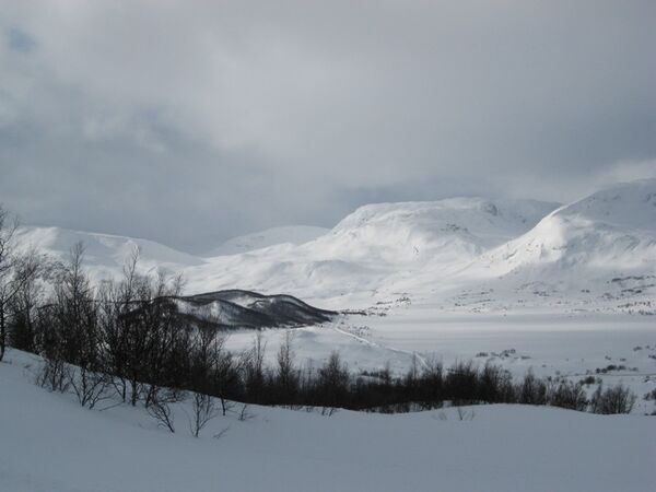 FilefjellPicture 042