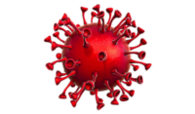 Bilde av koronavirus