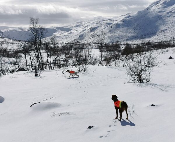 Vinter - stand og sekundering