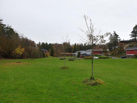 Bruerparken Foto: Vestby kommune
