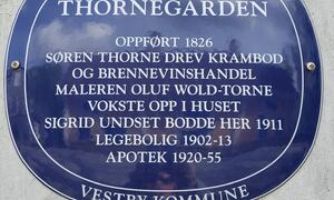 Thornegården, Hølen