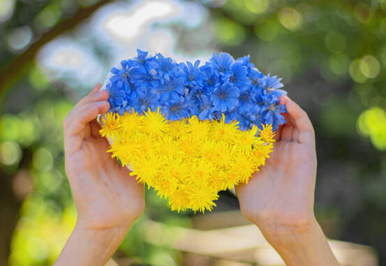 Ukraina hjerte