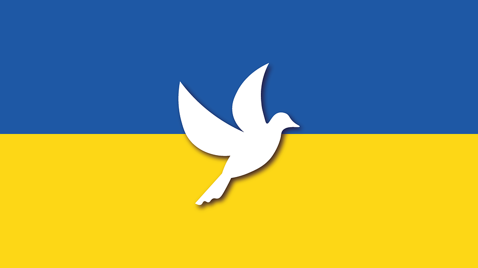 Ukrainas flagg med fredsdue Foto: Pixabay.com