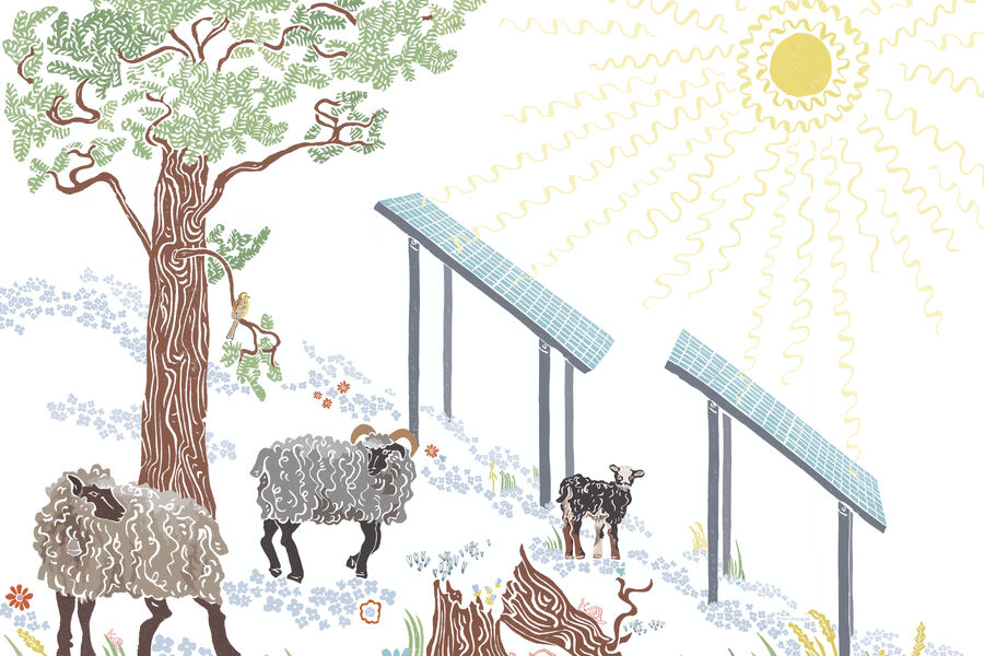 Å ivareta naturen er en stor og viktig del av boligutviklingen til Fossen Utvikling på Tanberghøgda i Hønefoss.. Illustrasjon: Marte F. Skarstein