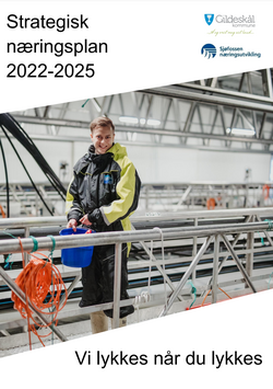 Stratgisk næringsplan 2022-2025, forside