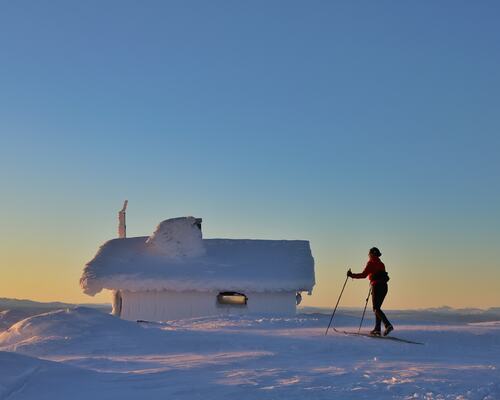 På ski til Nevelfjell