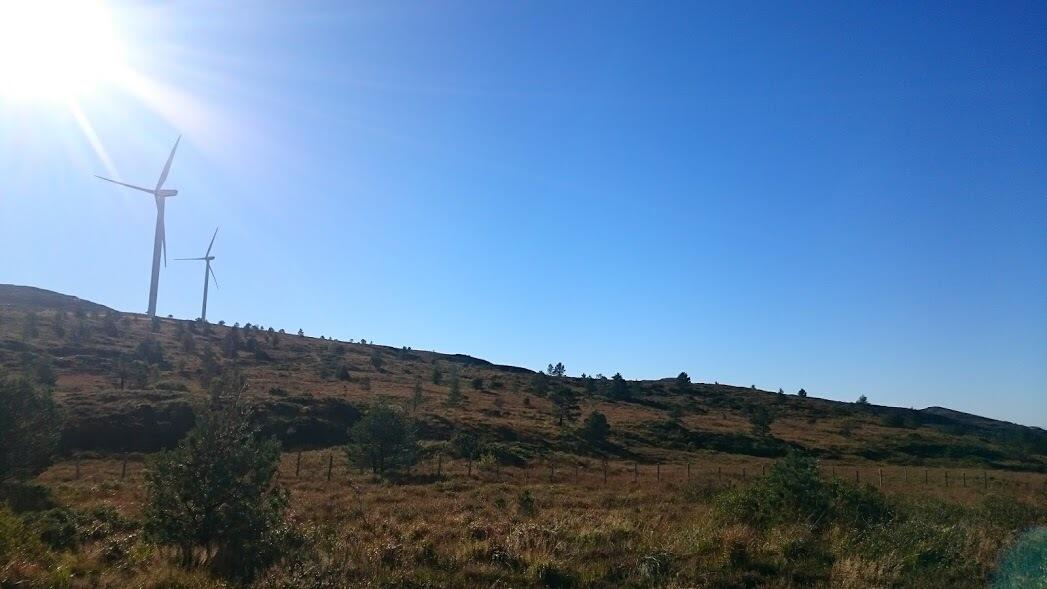 Typisk terreng på Fitjarfjellet