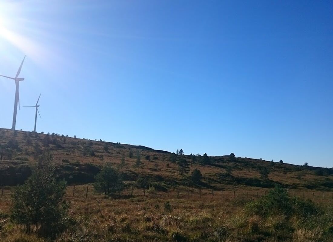 Typisk terreng på Fitjarfjellet