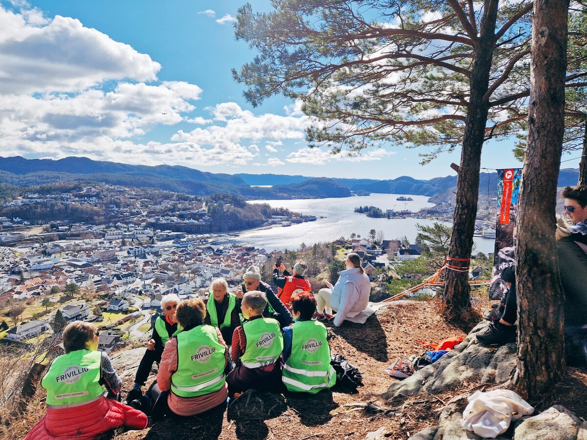 Bilde av utsikten på Storeheia ut byfjorden.