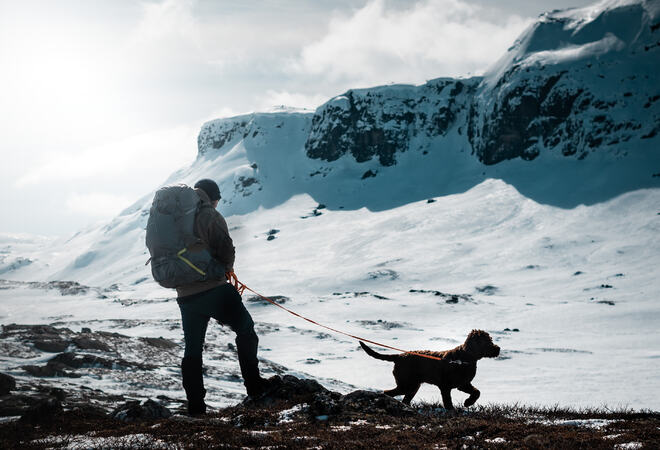 Vinter haukelifjell fjelltur. Foto: Luke Tennant