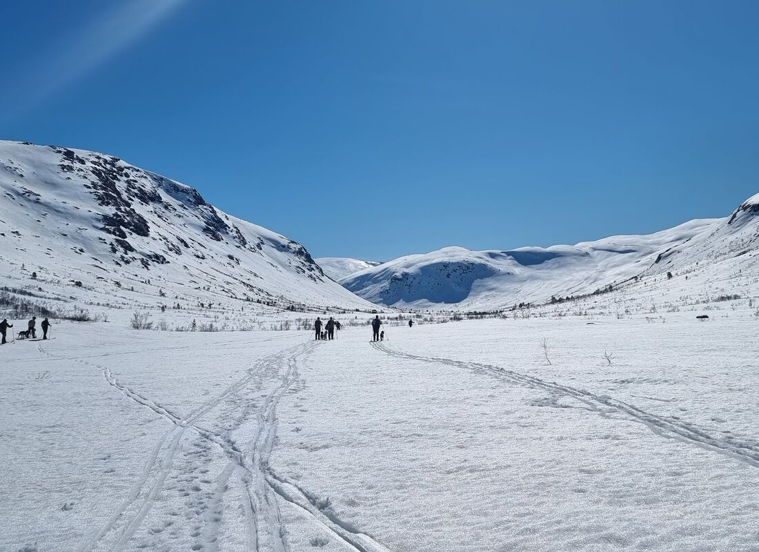 Vinterlandskap på Mjølfjell