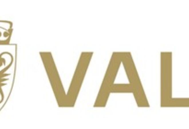 Logo valg