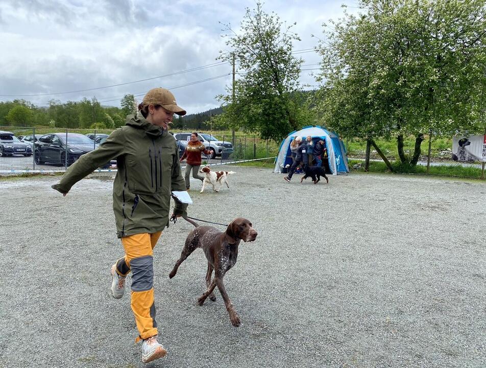 Vorster i ringen_Fuglehundfestivalen2023