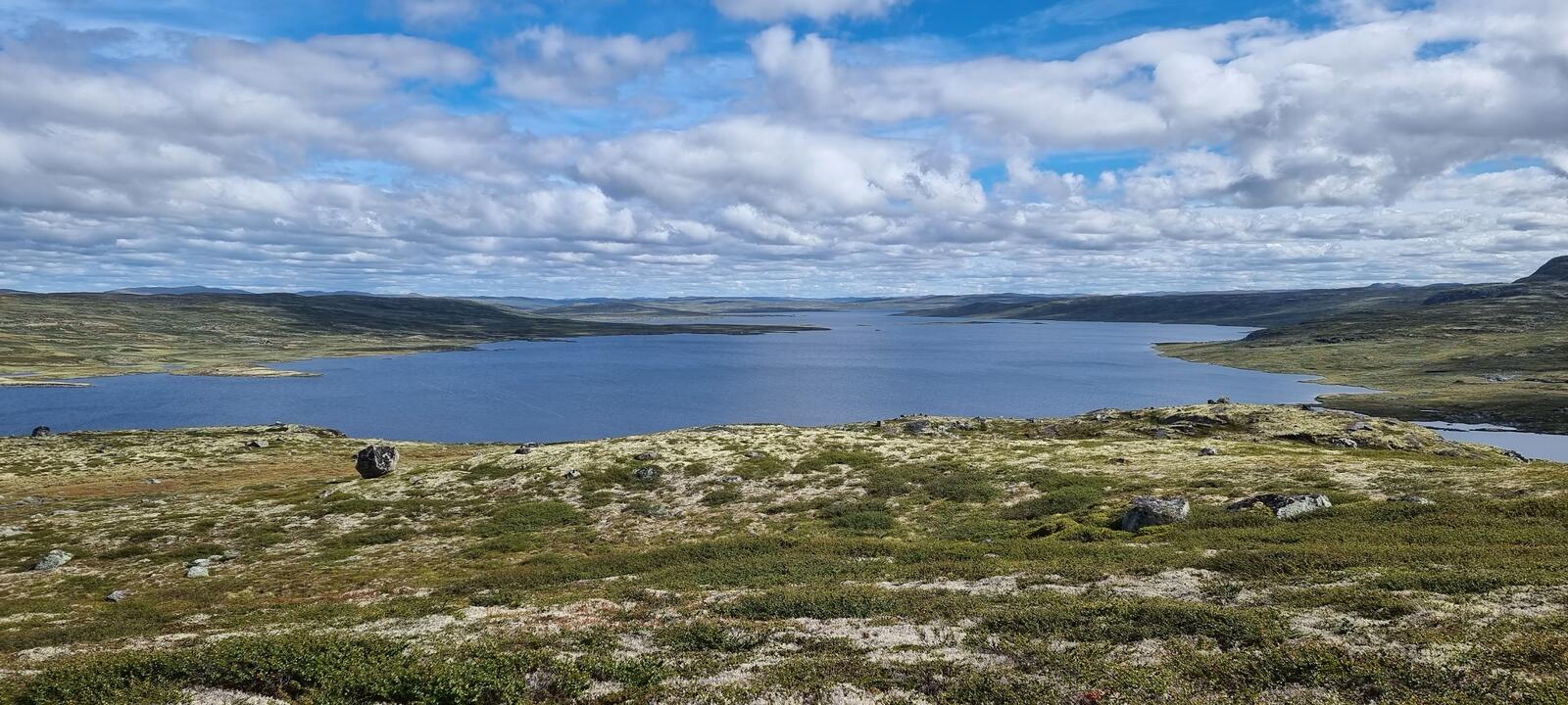 Bilde fra vakre Hardangervidda