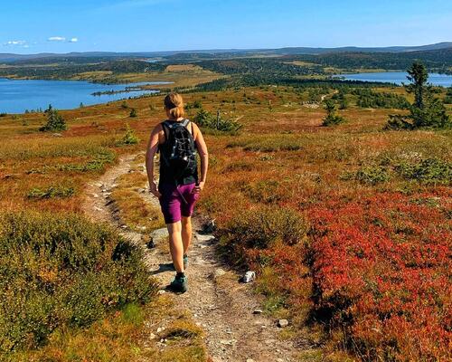 Tur i fjellet