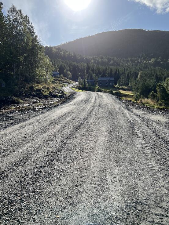 På bildet: Nesøyan skogsbilvei