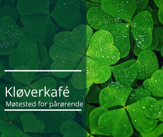 Kløverkafe Møtested for pårørende. Foto av kløver i bakgrunnen