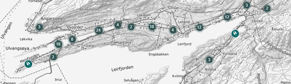 Kartutsnittet under viser påkjørsler av vilt i Leirfjord 