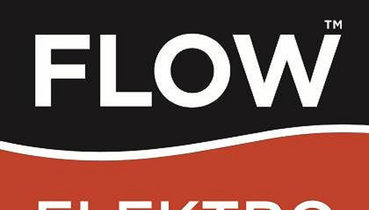 Logo Flow