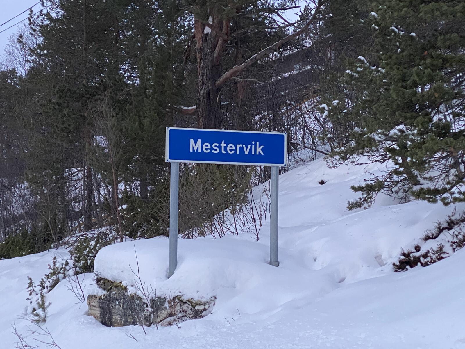 Mestervik