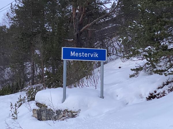 Mestervik