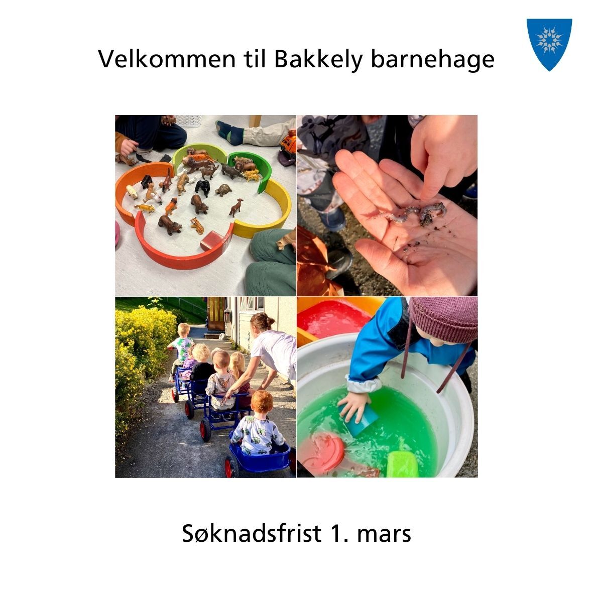 Plakat: Søk plass i Bakkely Barnehage