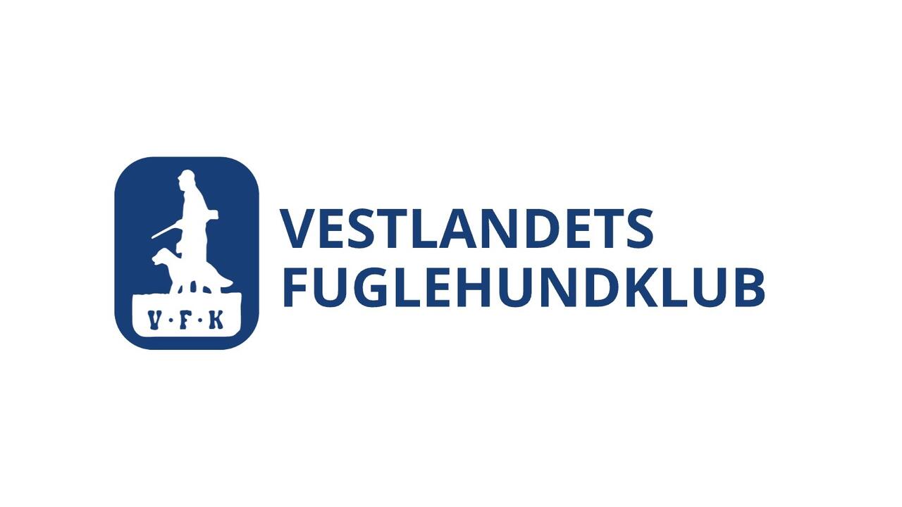 VFK logo