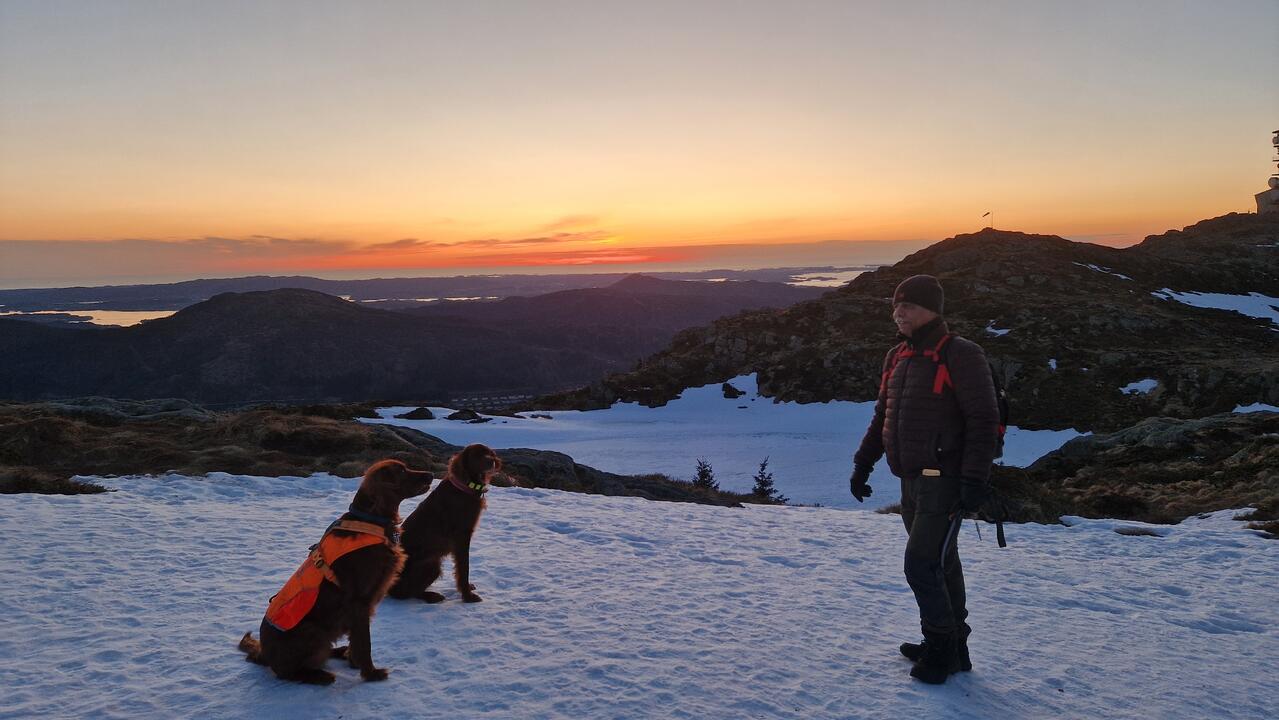 Hunder og fører på Vareggaterrenget med snø