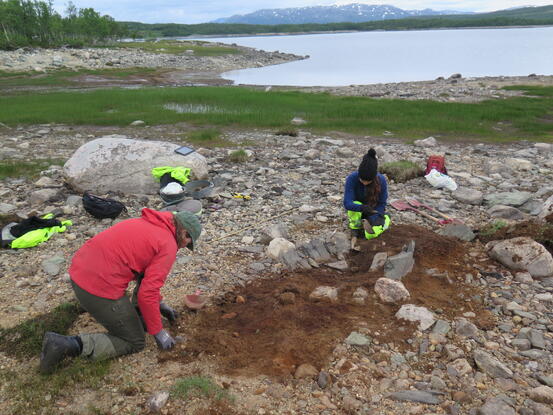 Illustrasjon: Frå arkeologisk undersøking ved Møsvatn i 2016